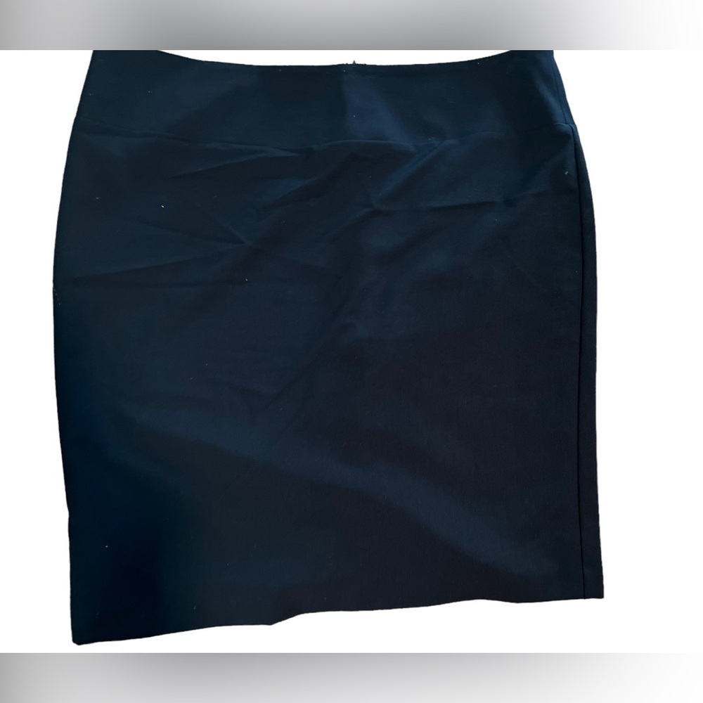 Ellen Tracy black skirt (lined).
